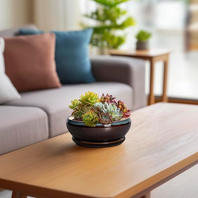 SQOWL Succulent Pots with Drainage Hole - 6 Inch Ceramic Bonsai Tree Pots, Shallow Planter with Saucer, Round Plant Pot for Succulent Indoor Outdoor, Porch Decor, Gifts for Plant Lover, Blue-Brown