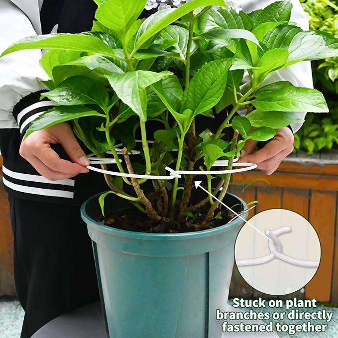5PCS Monstera Plant Stem Support White - 11x9.4 inches, Durable Adjustable Leaf Supports for Indoor Plants, Fishbone Cactus Stake Holder for Garden Stability