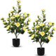 Hananona 2 Pcs Artificial Camellia Trees Faux Camellia Plant in Pot with Flowers Indoor Plants for Spring Home Decor Outdoor Porch Front Door Decor (Yellow, M)
