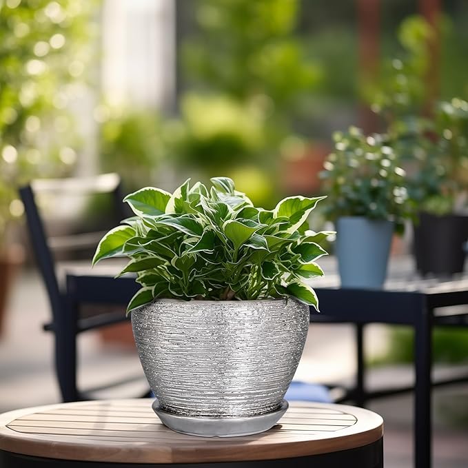 Ceramic Planter - 6 Inch Plant Pot Indoor with Drainage Hole and Saucer Outdoor Pot for Plants Round Decorative Planter Modern Mid-Century Flower Pot for Office Decor Silver