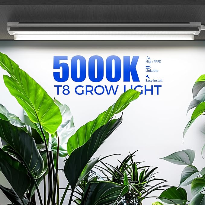 Barrina Grow Lights, 2FT 5000K White Full Spectrum Plant Growing Lamps, 144W(6 x 24W, 800W Equivalent), T8 LED Grow Light Bulbs, Plant Lights for Indoor Plants, Greenhouse, Linkable Design, 6-Pack