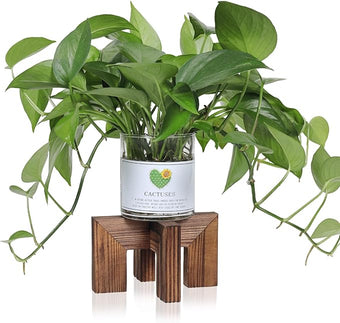 Plant Stand, Indoor/Outdoor Wood Plant Holder, Single Flower Pot Stand, Sturdy Planter Stands (Walnut, Fit 2.5-6 inch pots)