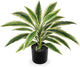 Artificial Plants Indoor with Pot, 18" Fake Potted Plants Medium Artificial Dracaena Plant in Black Pot Faux Tropical Plants for Bathroom Living Room Office Desk Shelf Decor