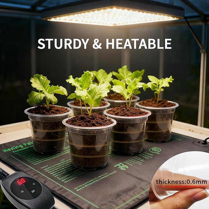 Plgardpo Clear Nursery Pots, 4/5/6 Inch Transparent Plastic Plant Pots with Drainage Holes, Variety Pack Seed Starting Pots, Flexible Clear Flower Pots for Indoor Outdoor Plants, 24 Packs