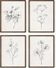 Haus and Hues Grey Floral Wall Art - Set of 4 Plant Posters for Wall Vintage, Botanical Prints, Black and White Flower Pictures for Room Aesthetic, Farmhouse Bathroom, Rustic Art (Walnut Frame, 11x14)