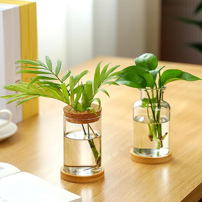 Layhit 4 Pcs Plants Propagation Stations vases Glass Planters with Wooden Lid and Bamboo Stand for Hydroponic Plants Gardening Gifts for Women Mom Home Office Tabletop Decoration(Wide Mouth Style)