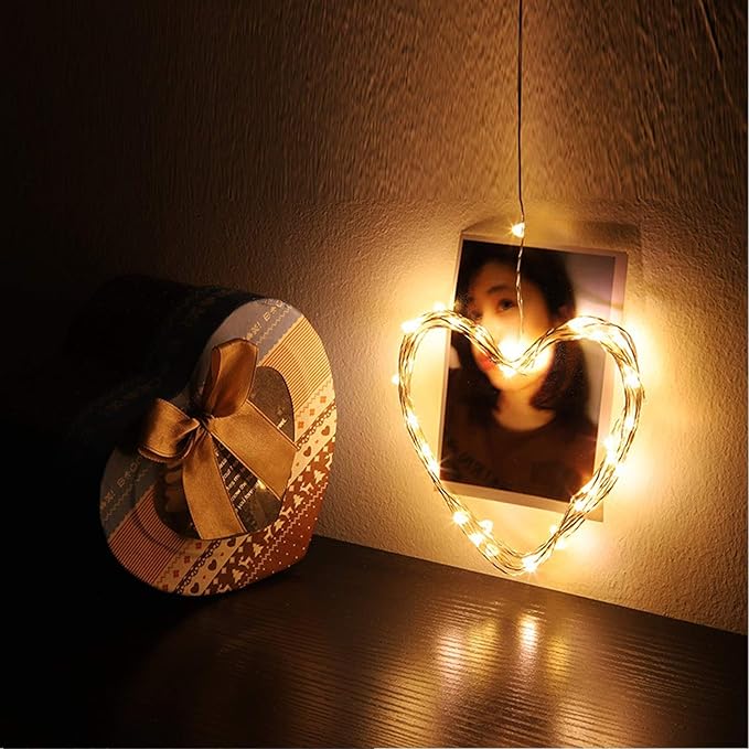 RUICHEN Silver Wire 33 Ft 100 LED USB Fairy String Lights with On/Off Switch (Warm White)