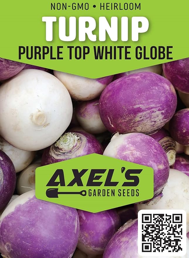 Turnip Seeds for Planting – 200 Non GMO Heirloom Purple Top Turnip Seeds – Full Planting Instructions to Plant Home Outdoor Vegetable Garden – Great Gardening Gift, 5 Packets
