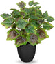 14.5" Artificial Plants Indoor Home Decor, Fake Potted Silk Plants for Shelves Living Room Decorative, Small Artificial Office Desk Plants in Pots, Faux Grape Leaf Vine Hope Tropical House Plant
