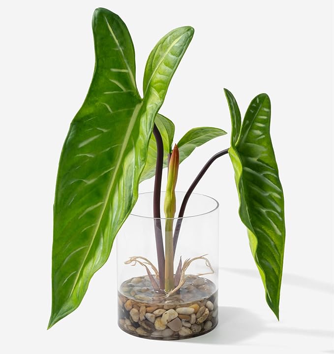 SUNPRAIRIE Realistic Faux Plant in Clear Pot with Artificial Water, Narrow Arrowhead Leaves. Artificial Plants Indoor and Outdoor