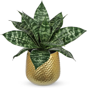 Hollyone Artificial Snake Plants 9" Faux Agave Succulent Plant Potted in Gold Metal Pot Fake Sansevieria Aloe Tropical Plant for Desk Modern Office Home Bathroom Indoor Outdoor Decor