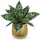 Hollyone Artificial Snake Plants 9" Faux Agave Succulent Plant Potted in Gold Metal Pot Fake Sansevieria Aloe Tropical Plant for Desk Modern Office Home Bathroom Indoor Outdoor Decor