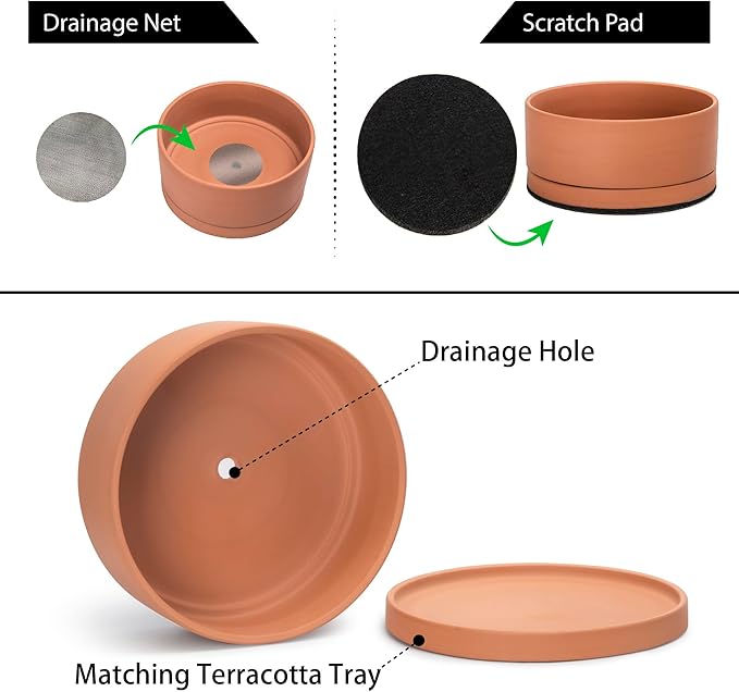 D'vine Dev 12 Inch Succulent Terracotta Shallow Pot with Drainage Hole and Saucer, Round Cylinder Planter Pot for Plant Flower, 40-Y-C-0