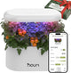 Nouri 5 pod APP Smart Garden for Home Cooks | w/Heirloom Basil | Hydroponics Growing System | LED Grow Lights | Indoor Herb Garden Kit | Herb Growing Kit Indoors for Plant Lovers, Gardeners, Kitchen