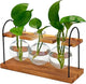 Plant Terrarium with Wooden Stand, The Ultimate Gift for Plant Lovers, Propagation Station with Retro Glass Bulbs, Creating a Stunning Tabletop Display of Hydroponic Greenery in Any Home or Office