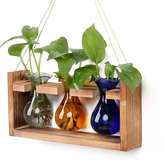 Plant Propagation Station Plant Terrarium Unique Birthday Gifts for Women Home Office Decor Planter with Wooden Stand - 3 Bulb Glass Vase