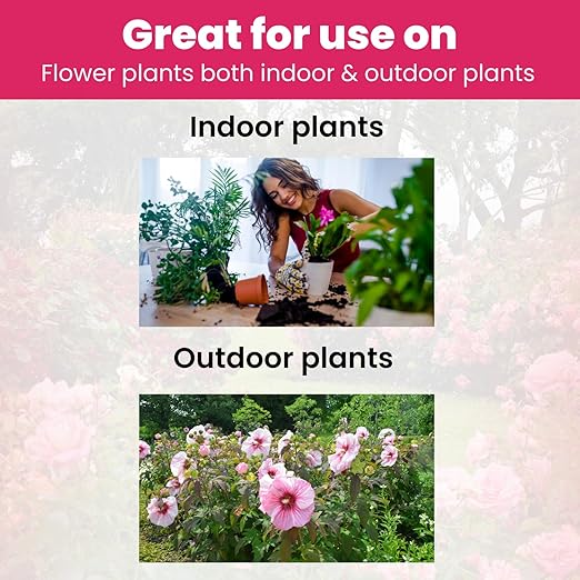 BIOGROWTH ORGANICS Concentrated Liquid Enzyme-Based Organic Plant Food | Organic Plant Fertilizer & Bloom Booster | Ideal for Flowers, Fruits & Vegetables, Indoor & Outdoor Gardening (8.45oz)
