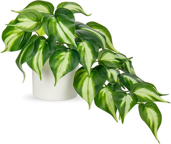 Hollyone Artificial Plants Potted Fake Plants in White Ceramic Pot Faux Pothos Plants Indoor for Home Living Room Shelf Office Aesthetic Decor