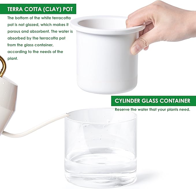 Phoenix Vine 4 Inch Self Watering Planter Pot, Design White Terracotta Pots for Plants, Indoor Cylinder Terra Cotta Pots with Glass Vase, Set of 2, 51-B-E-2