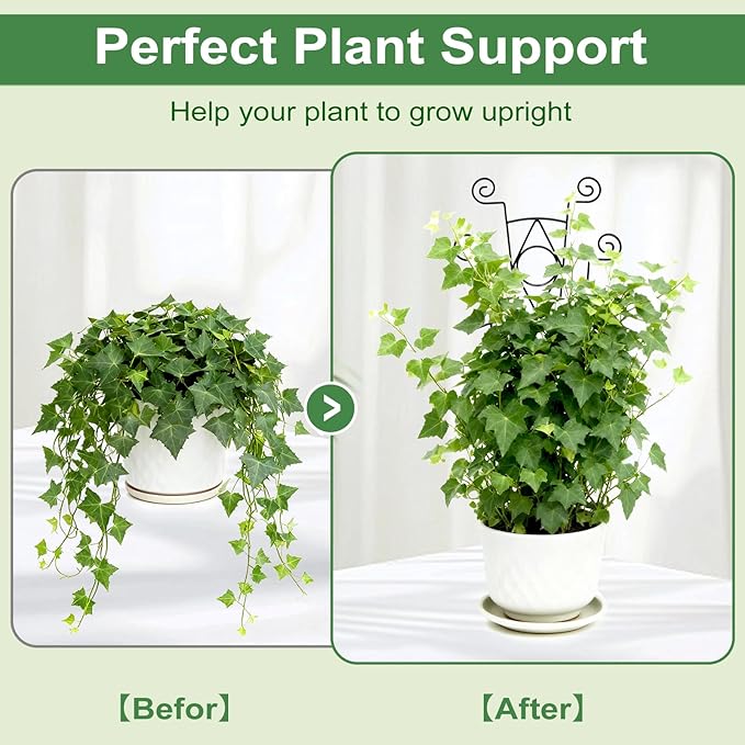 Indoor Plant Trellis for Climbing Plants 2 Pack Small Garden Metal Support for Potted Plants Flowers Houseplants for Outdoor
