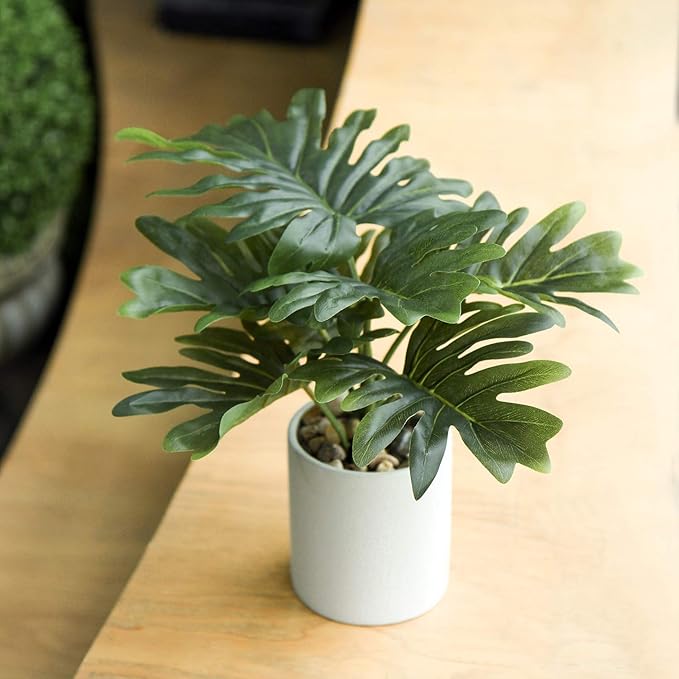 Briful Artificial Monstera Plant 13" Small Fake Plant in Ceramic Pot Potted Faux Plant Indoor for Home Bathroom Living Room Table Office Shelf Desk Decorations