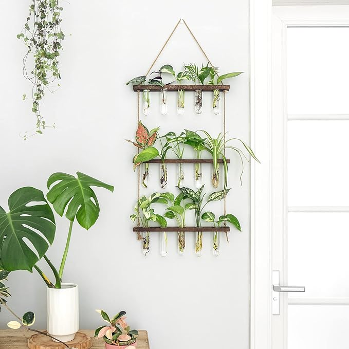 Mkono Plant Propagation Tubes, 3 Tiered Wall Hanging Terrarium with Wooden Stand Mini Test Tube Flower Vase Glass Planter Stations for Hydroponic Cutting Home Garden Office Decor Plant Lover Gift