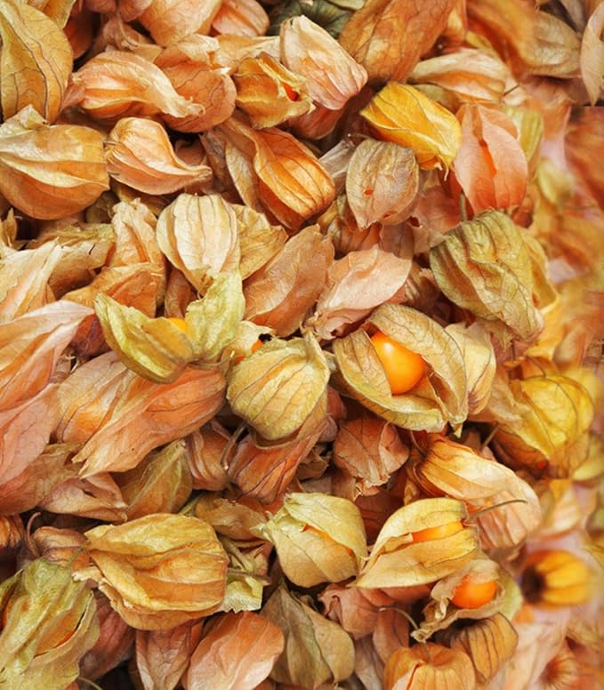 Ground Cherry Aunt Molly's 50 Seeds (Physalis pruinosa) Heirloom - Open Pollinated