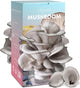 Organic Edible 4lbs Oyster Mushroom Growing Kit, Made in USA, Double-Side Mushroom Grow Kit Indoor, Harvest Gourmet Mushrooms in 10 Days, Top Gardening Gift, Holiday Gift