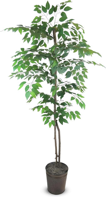LCG Florals 6ft Artificial Ficus Tree in Copper Metal Pot with Real-Wood Trunk - Indoor and Outdoor Faux Plants for Patio, Living Rooms, Offices & Outdoor Spaces
