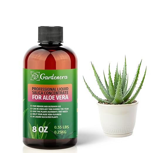𝐏𝐑𝐄𝐌𝐈𝐔𝐌 Liquid Silica Plant Supplement - 8oz (250mL) - ALOE VERA Plants Liquid Silica Boost Fertilizer - Stronger Stems & Healthy Leaves for Indoor & Outdoor Aloe Vera Plants (Makes 45 Gallons)