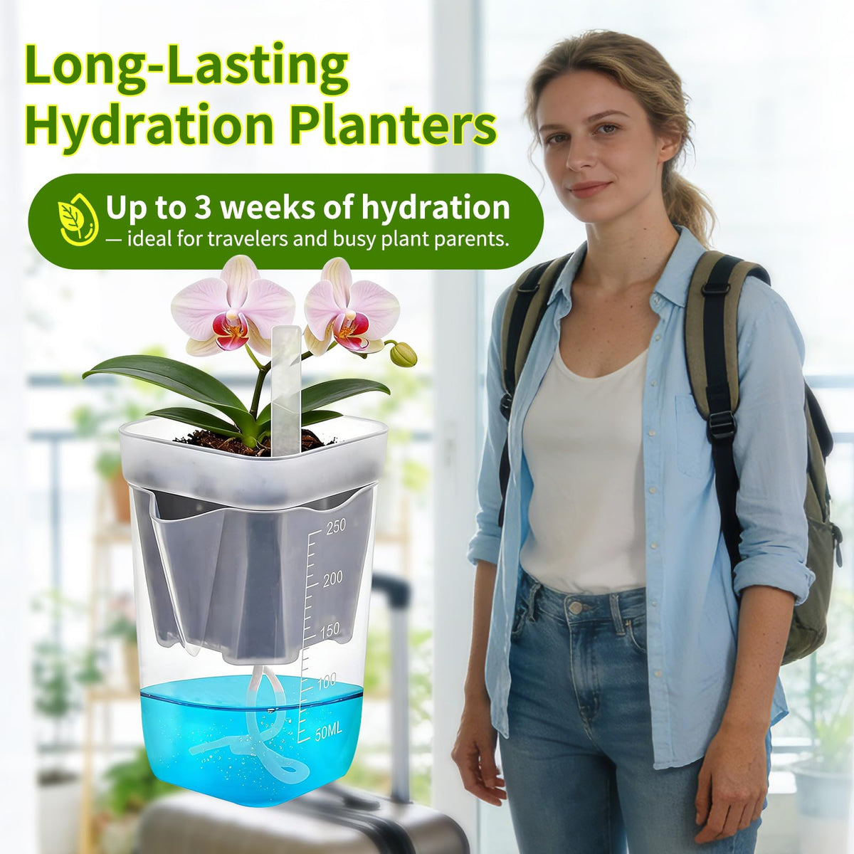HITOSTAR 12 Pack 2.5 Inch Mini Clear Self Watering Pots for Indoor Plants, Small Plastic Planters with Drainage, Hydroponic Nursery Propagation Cups, for African Violet Alocasia Pot (2.5Inch, 12Pack)
