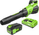 Greenworks 40V (730 CFM / 190 MPH) Cordless Leaf Blower with High Power Brushless Motor, Lightweight Backyard Cleaner for Fast Debris Removal, Includes 5.0Ah Battery & 5A Rapid Charger