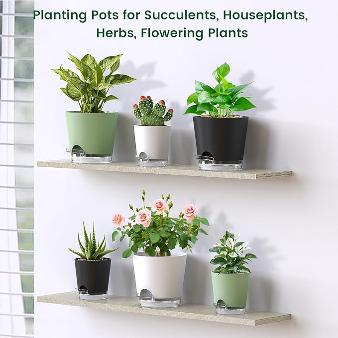 Meowell 6 inch Self Watering Pots for Indoor Outdoor Plants, 6 Pack Flower Plant Pots with Drainage Holes and Clear Reservoirs, Visible Water Level, Plastic Planters with Wicking Rope, Green