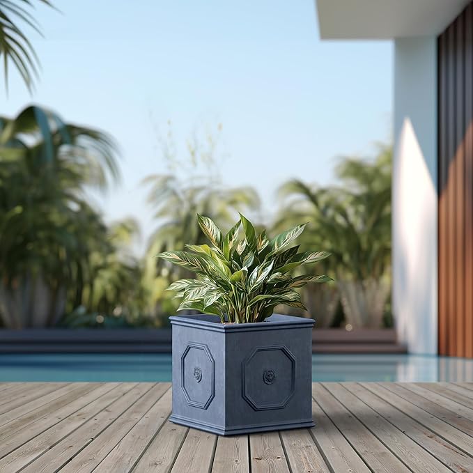 Kante Square Lion Head Concrete Planter, Classic English Style Plant Pot with Drainage Hole and Rubber Plug for Indoor Outdoor Garden Patio Home, 12.6"x12.6"x12.6" Gravel Gray