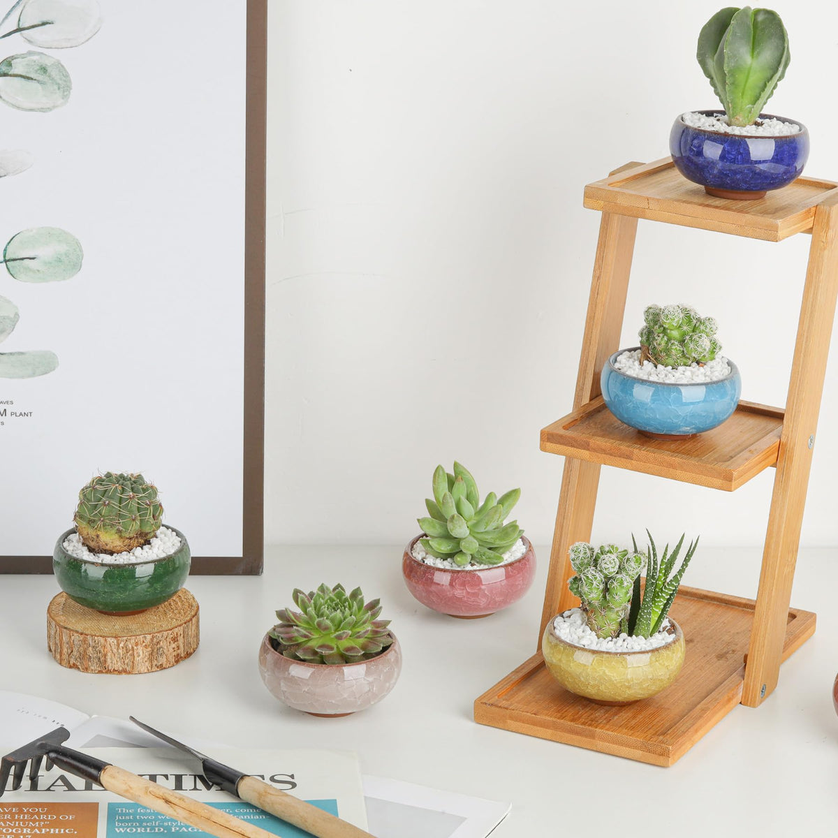 T4U Mini Succulent Pots, Small Shallow Ceramic Pots, Retro Gift Set of 6