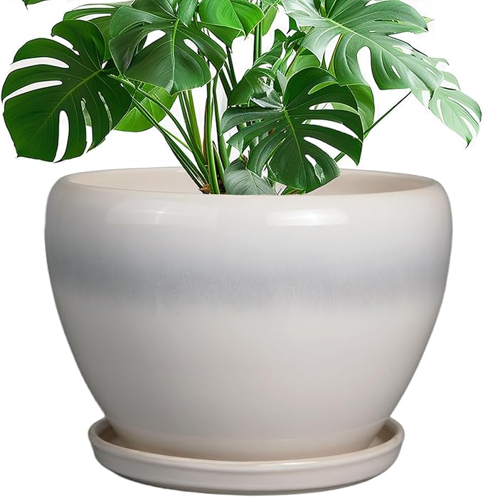 10 Inch Ceramic Planter Pot - Large Plant Pot with Drainage Hole and Saucer Round Flower Pot for Indoor Plants, White