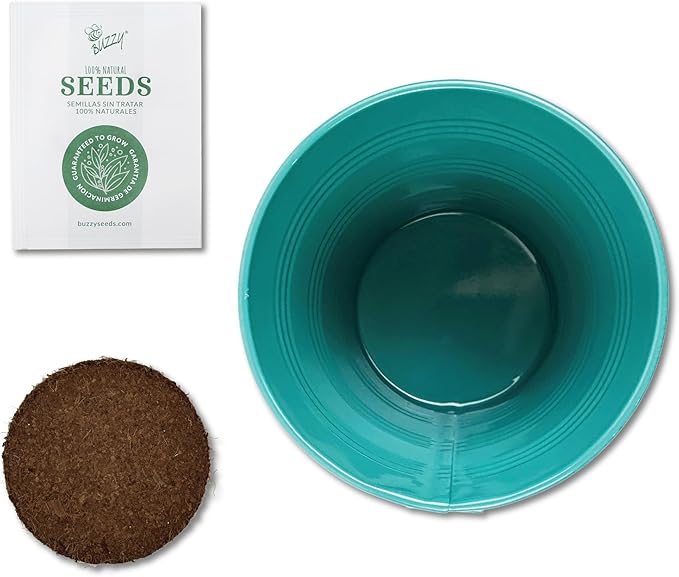 BUZZY Seeds Holiday Rosemary Grow Kit – Indoor Herb Garden Starter Pail with Non-GMO Seeds, Growing Medium, and Easy Instructions – DIY Christmas Gardening Gift, Stocking Stuffer