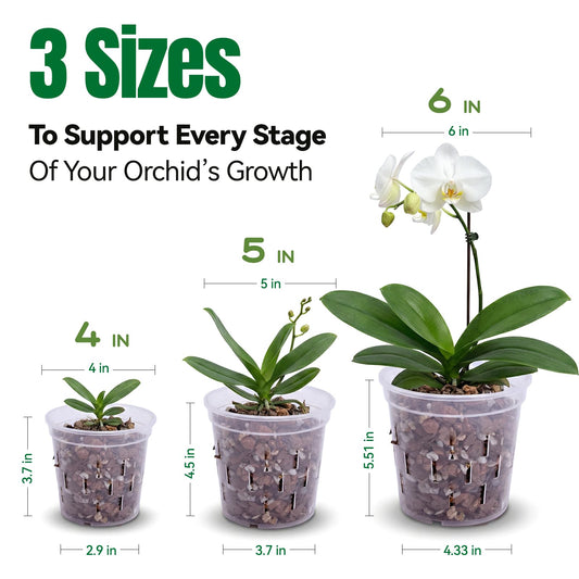 TRUEDAYS Orchid Pot 6 Pack, 2 Each of 4/5/6 Inch Plant Pot with Drainage