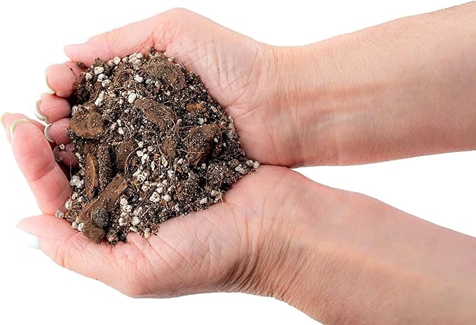 Premium Bromeliad Potting Soil by Gardenera - Unlock The Full Potential of Your Bromeliads - 5 QUARTS