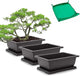 GROWNEER Bonsai Training Pots 3 Packs 9Inch with Drainage Humidity Trays, Bonsai Tree Starter Kits with 1 Repotting Mat, Growing Planter Set for Garden, Yard, Balcony, Office, Living Room