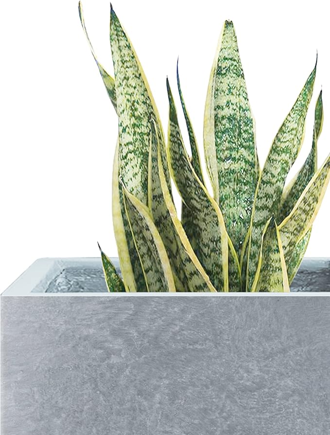 Kante 10 Inch Square Concrete Planter for Outdoor Indoor Home Patio Garden, Large Plant Pot with Drainage Hole and Rubber Plug, Slate Gray