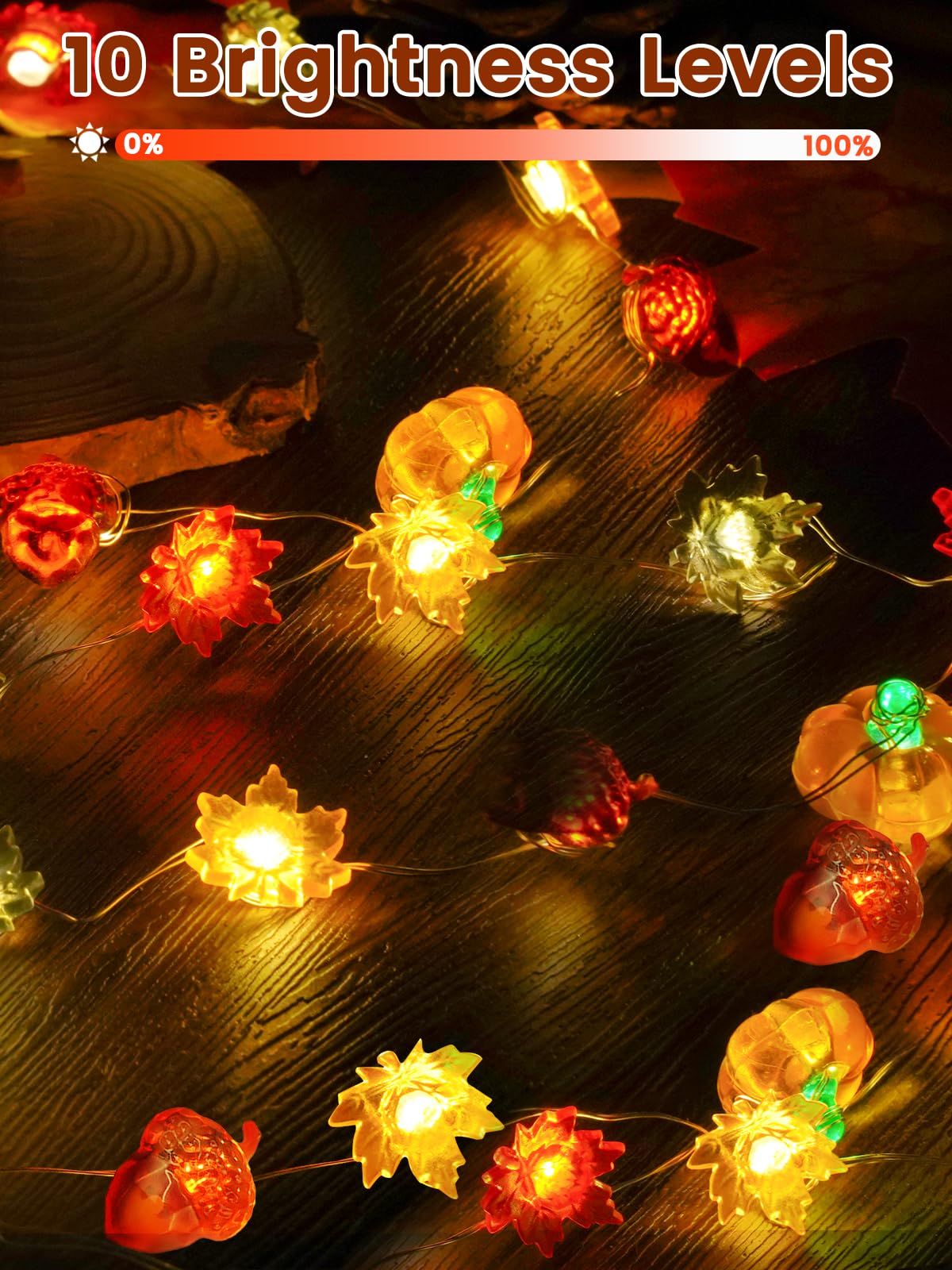 2 Pack 30 LED Fall Decorations, String Lights Battery Operated with Remote