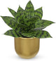 Hollyone Artificial Snake Plants 9" Faux Agave Succulent Plant Potted in Gold Pot Fake Sansevieria Aloe Tropical Plant for Desk Modern Office Home Bathroom Indoor Outdoor Decor