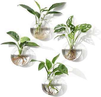 onepeng 4Pcs Wall Hanging Planter Propagation Stations Glass Terrariums Vase for Hydroponics Plants, Bathroom, Home Office Living Room Decor Gift