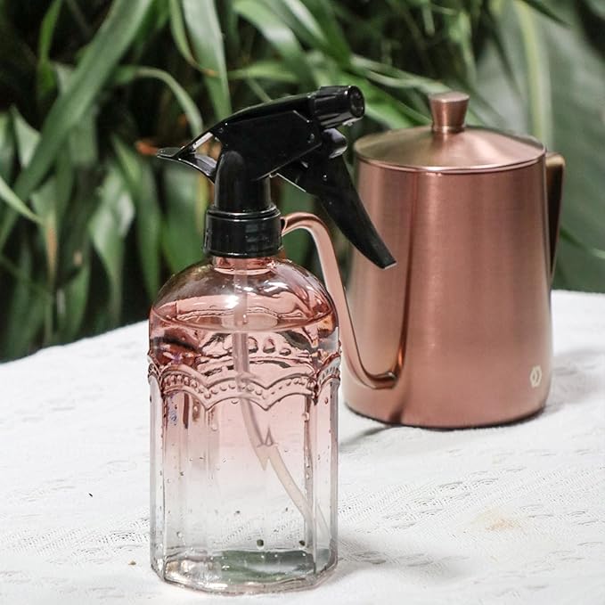 Watering Can for Indoor Plants Long Spout Metal Stainless Steel 21 oz/600 ml Small Watering Can with 14 oz/400ml Glass Plant Mister Spray Bottle for Plants Bonsai