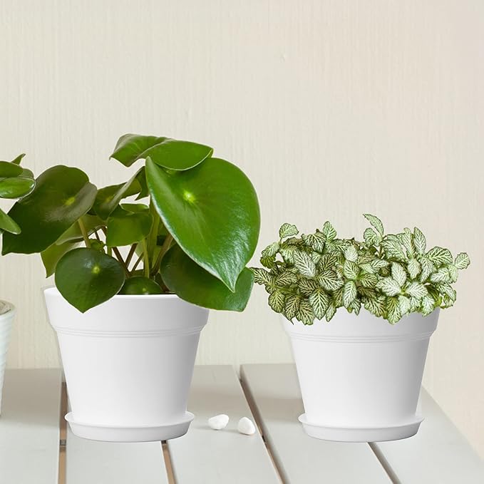 FHWTY 16 Pack Plastic Plant Pots with Drainage Holes and Tray, 4 inch Thickened Indoor Planters Seedlings Nursery Pots for Flowers, African Violet, Succulent and All House Plants, White