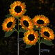 Meagoo Solar Sunflower Lights, 800mA Solar Garden Light with Real Looking Flowers Outdoor Waterproof Solar Stake Lights for Back Yard, Flower Bed, Pathway, Patio, Porch, Spring Decoration (2 Pack)
