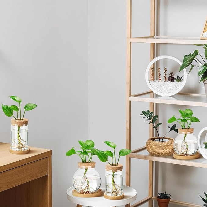 Layhit 4 Pcs Plants Propagation Stations vases Glass Planters with Wooden Lid and Bamboo Stand for Hydroponic Plants Gardening Gifts for Women Mom Home Office Tabletop Decoration(Funny Style)