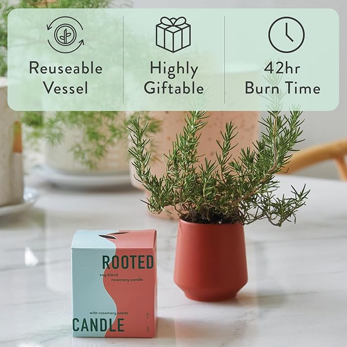 Modern Sprout Rooted Candle - 2 in 1 Cucumber Scented & Soy Candle with Seeds That Grows into Rosemary Plant - 6 oz w/ 42 Hr Burn Time in Matte Glaze Ceramic Vessel Ideal for Indoor Herb Garden