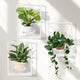Hanging Planters for Indoor Plants White, Wall Plant Holder Stand to Hold Large Pots - Premium Metal Wall Planters for Indoor Outdoor Decor
